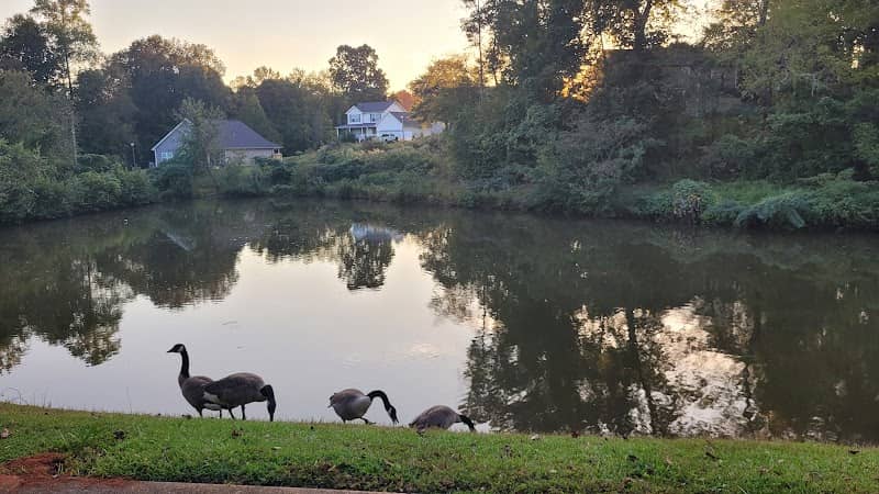 Riverdale pond - Image 2