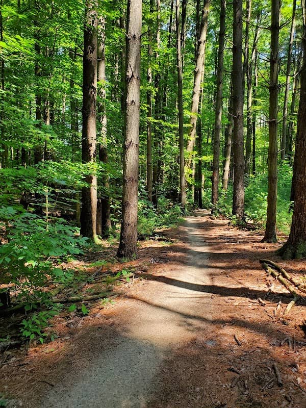 Royalview Mountain Bike Trail (Lower Lot) - Image 1