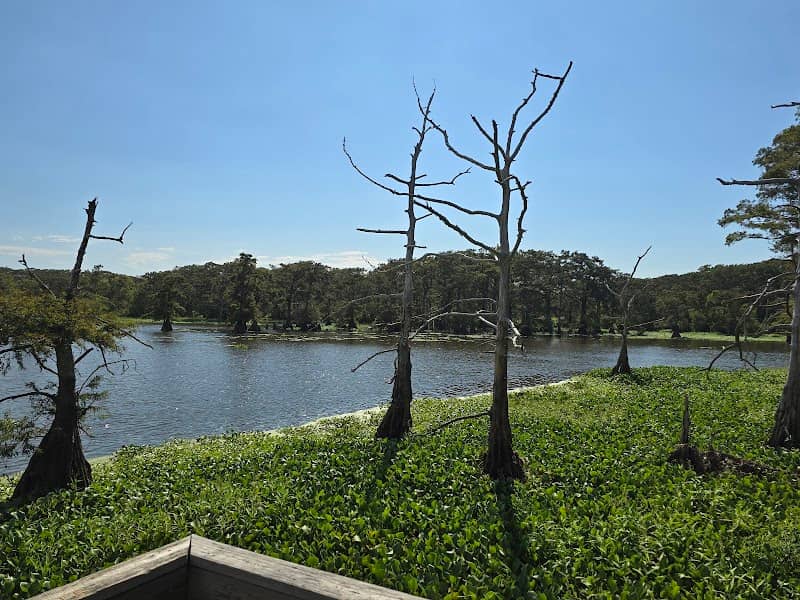Trinity River Waterbird Rookery - Image 1