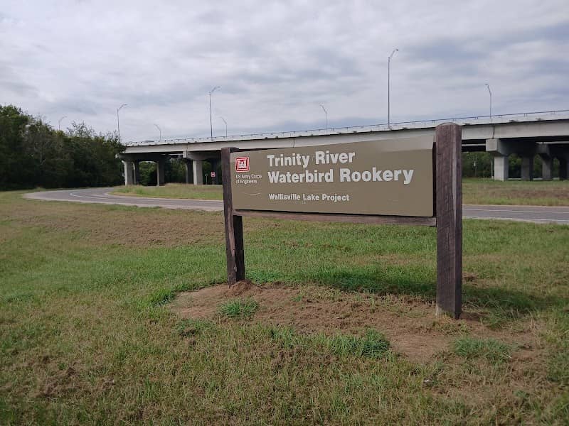Trinity River Waterbird Rookery - Image 2