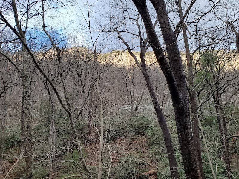 Greenland Gap Preserve - Image 2