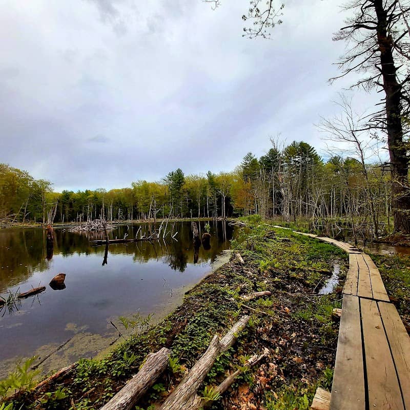 Longmarsh - preserve - Image 1