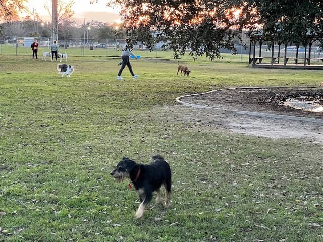 Pelican Park/Recreation District #1 - Image 2
