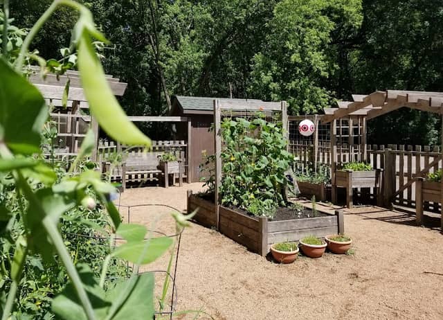 Outdoor Center Edible Playground - Image 1
