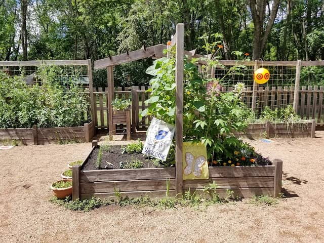 Outdoor Center Edible Playground - Image 2