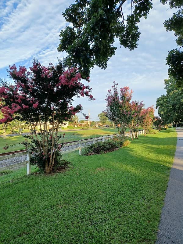 Bill Lee Park - Image 1