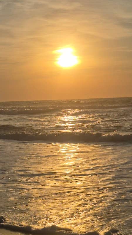 Topsail island north - Image 1