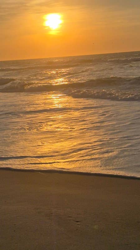 Topsail island north - Image 3