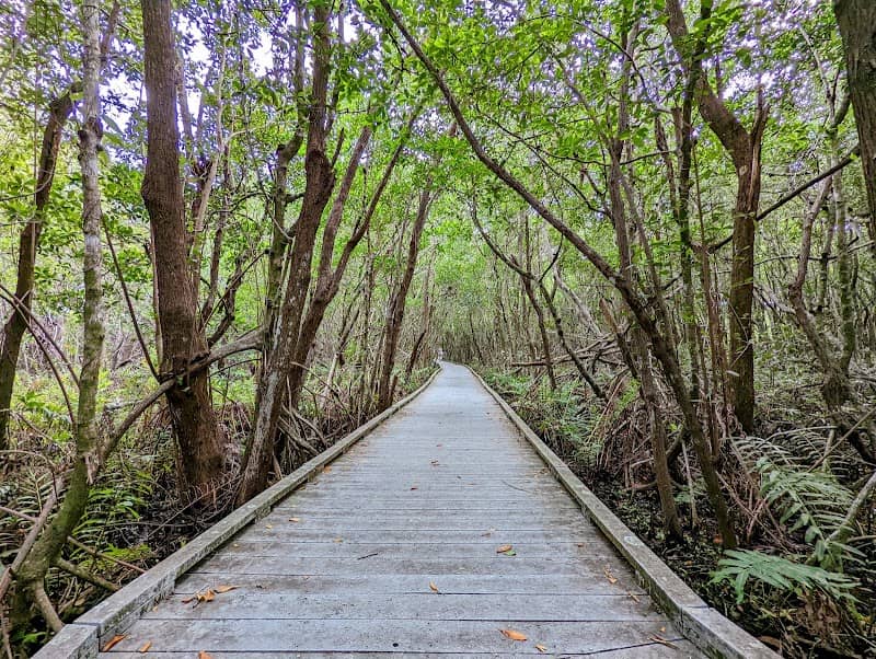 Four Mile Cove Ecological Preserve - Image 1