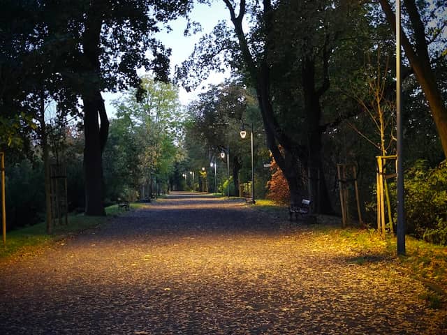 Aleja Słowicza - Image 1