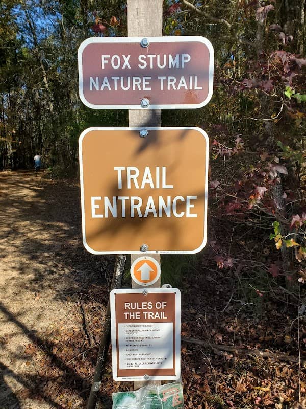 Pineywoods Nature Trail - Image 1