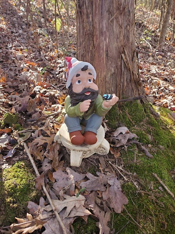 Pineywoods Nature Trail - Image 2