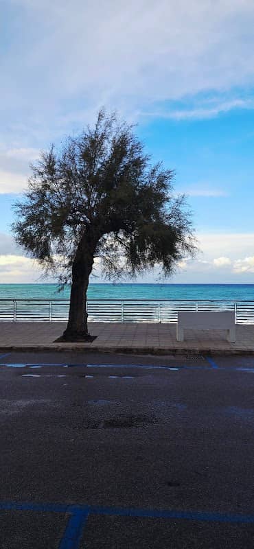 Scoglio Balena - Image 1