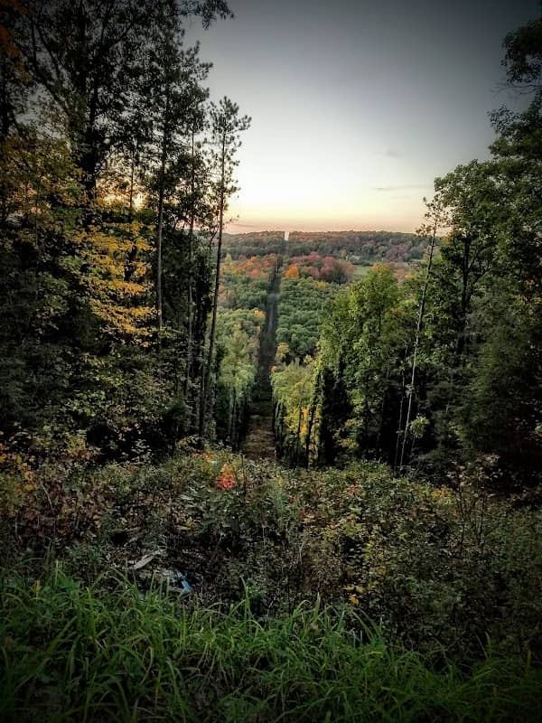 Meads Creek State Forest - Image 2