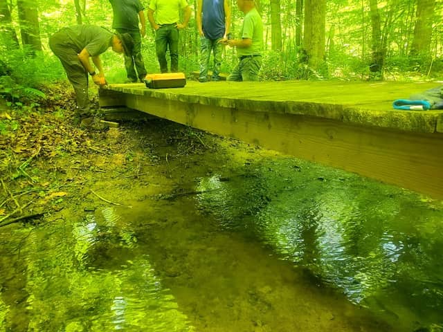 Meads Creek State Forest - Image 1