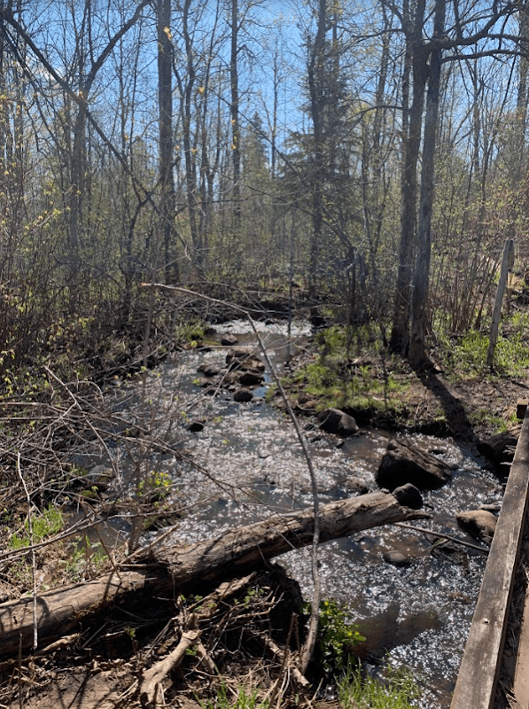 Palisade Creek East Campsite - Image 1