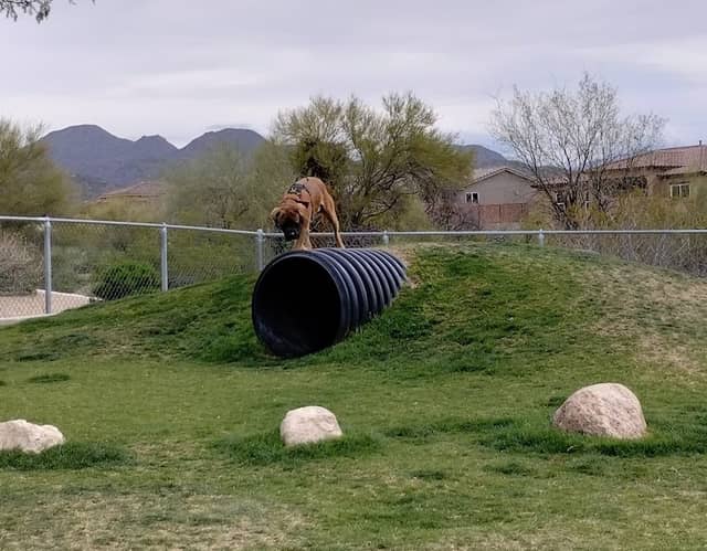 Dove Mountain West Park - Image 2