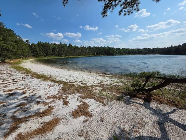 Camp Cachalot Wildlife Management Area - Image 2