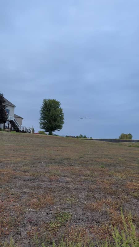 Green meadow field pond - Image 2