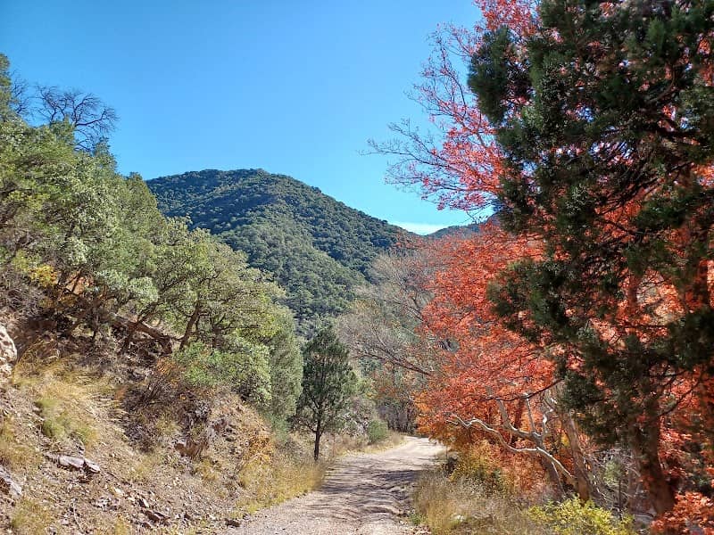 Garden Canyon Park - Image 1
