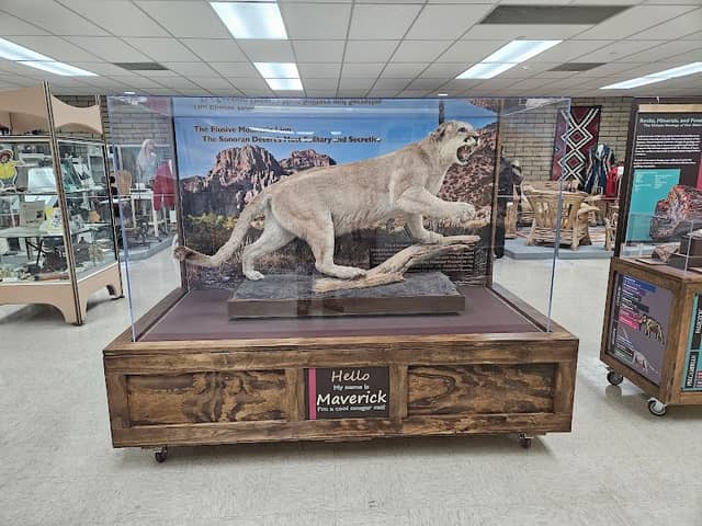 Pinal County Historical Museum - Image 2