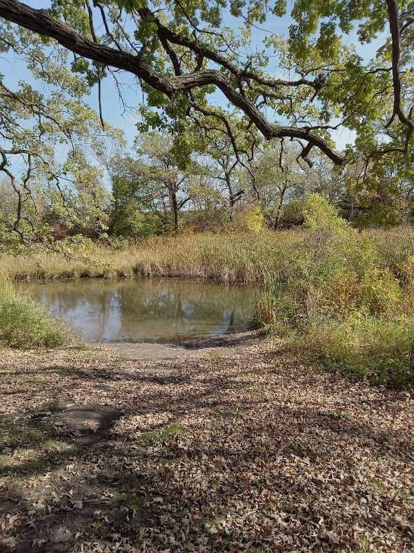 Group Camp - Image 1