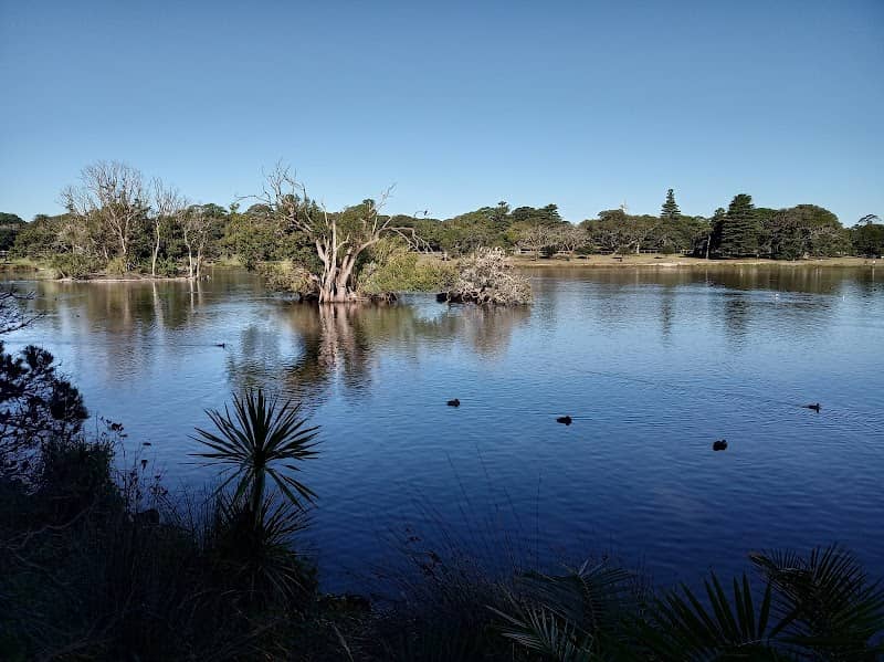 Lachlan Swamp - Image 3