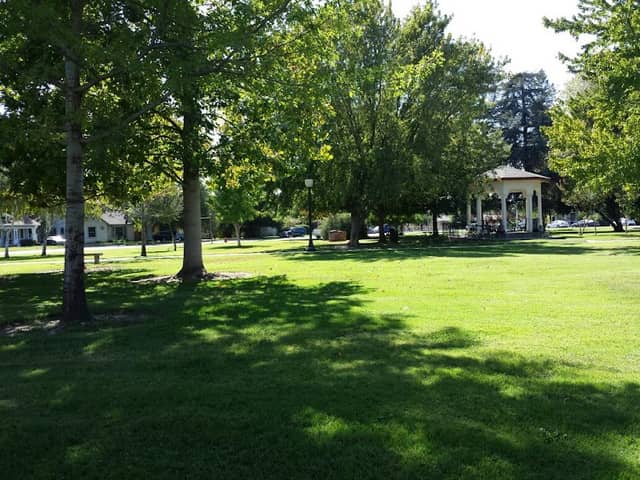 Library Park - Image 1