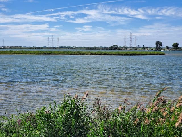 Forsythe Park - Image 2