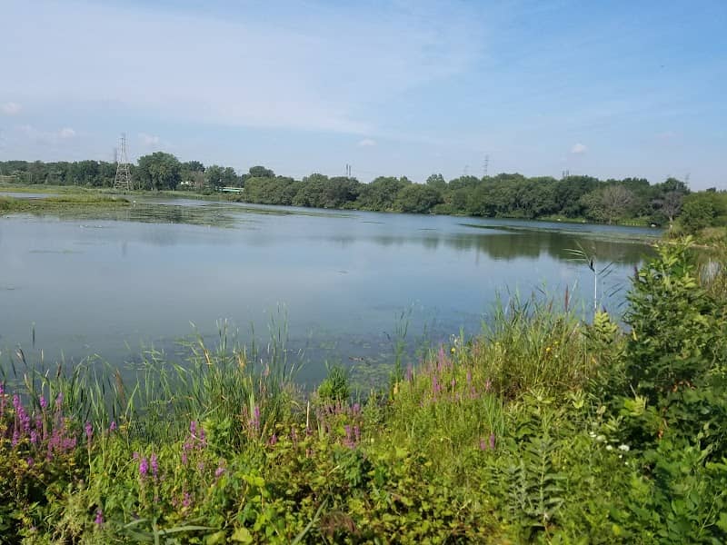 Forsythe Park - Image 1