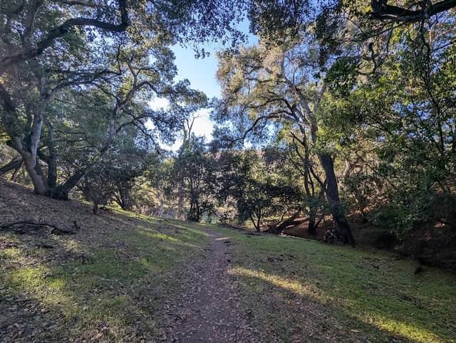 Pioneer Trail - Image 1