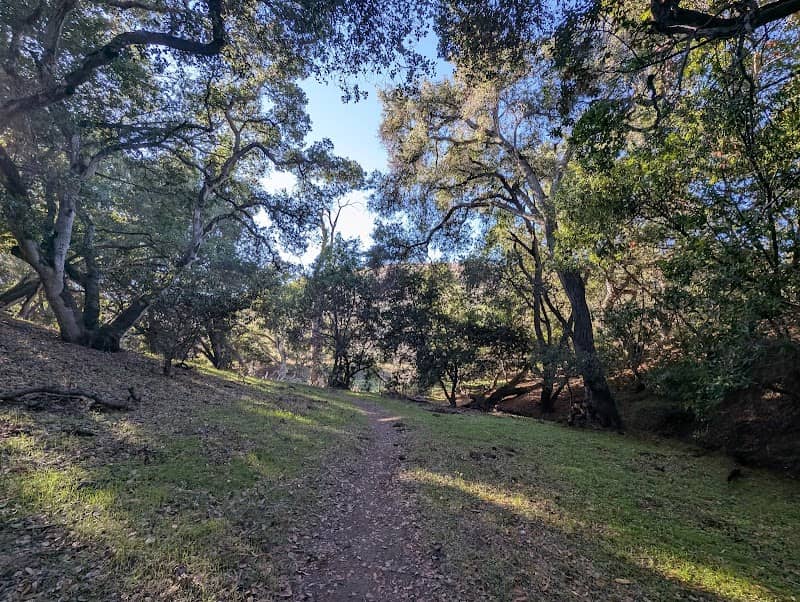 Pioneer Trail - Image 1