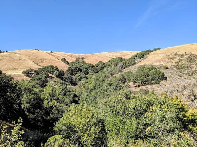 Pioneer Trail - Image 2