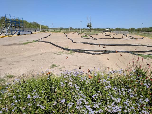 Bentsen Palm Community Park - Image 2