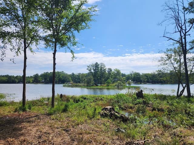 Stallion Isle - Image 1
