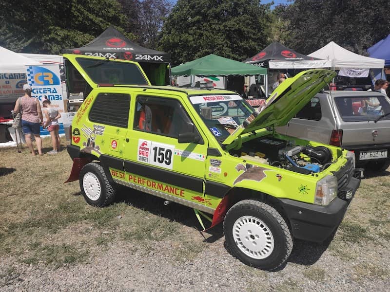 Panda a Pandino dal 2017 - Image 2