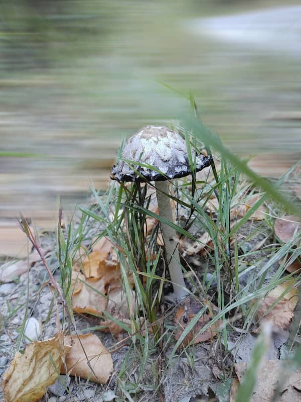 Swan River National Wildlife Refuge - Image 2