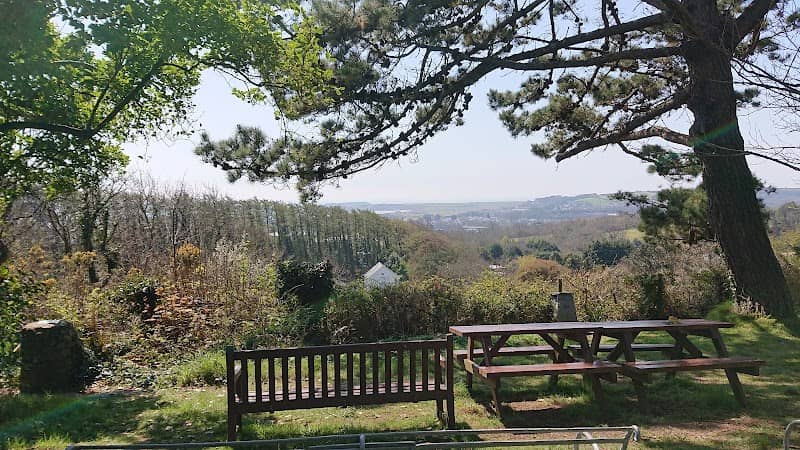 Allen’s View - Image 1
