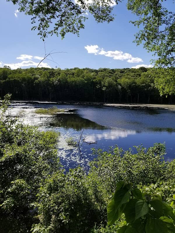 Shelton Dog Park - Image 2