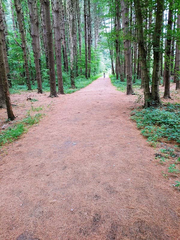 Shelton Dog Park - Image 1