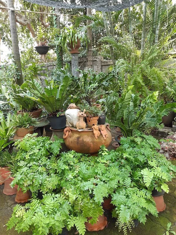บ้านต้นไม้ ศรีราชา - Image 2