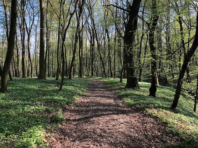 Park - Image 1