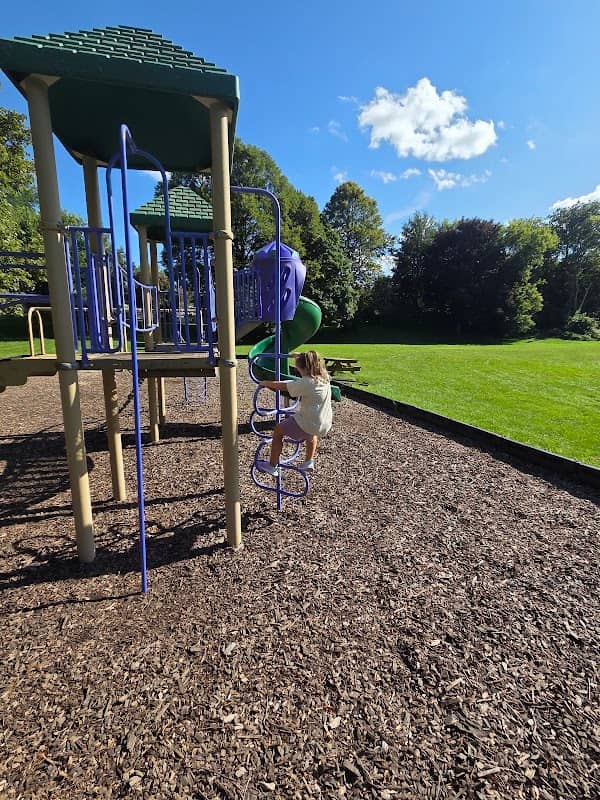 Lions Park Field - Image 1