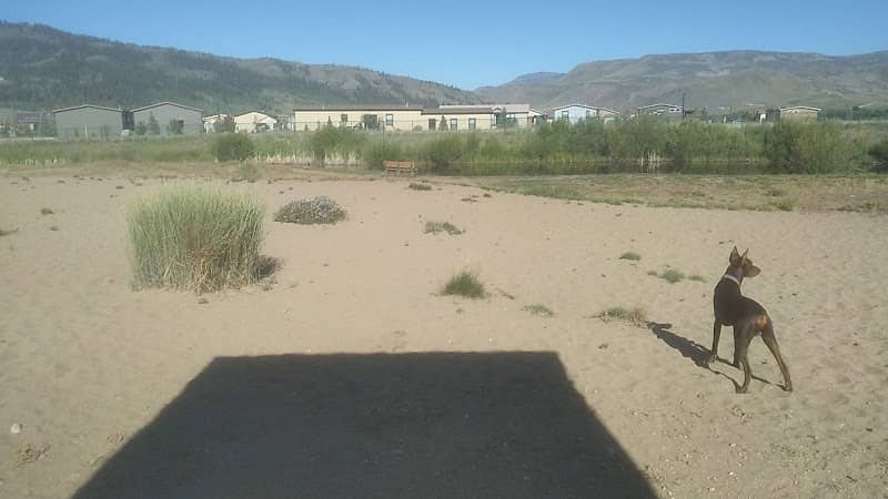 Granby Dog Park - Image 1