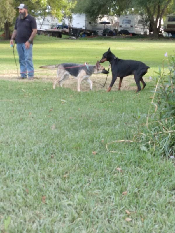Bayou Campground - Image 2