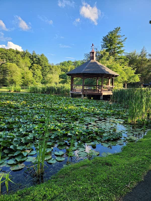 Forest Park - Image 1