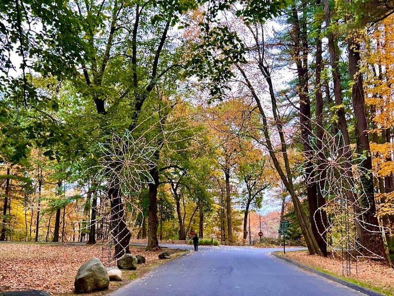 Forest Park - Image 3