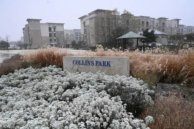 Collins Park - Image 2
