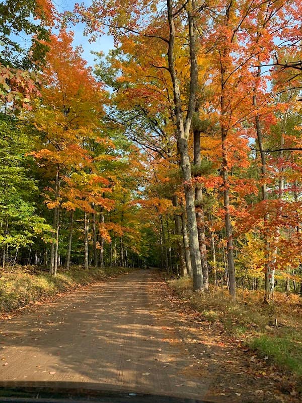 Brinkman Bog Nature Preserve - Image 1