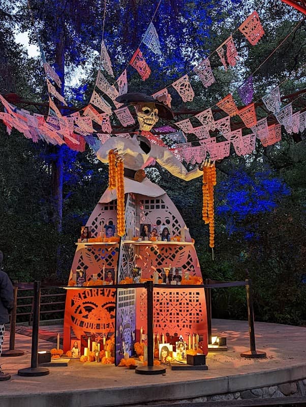 Carved at Descanso Gardens - Image 2